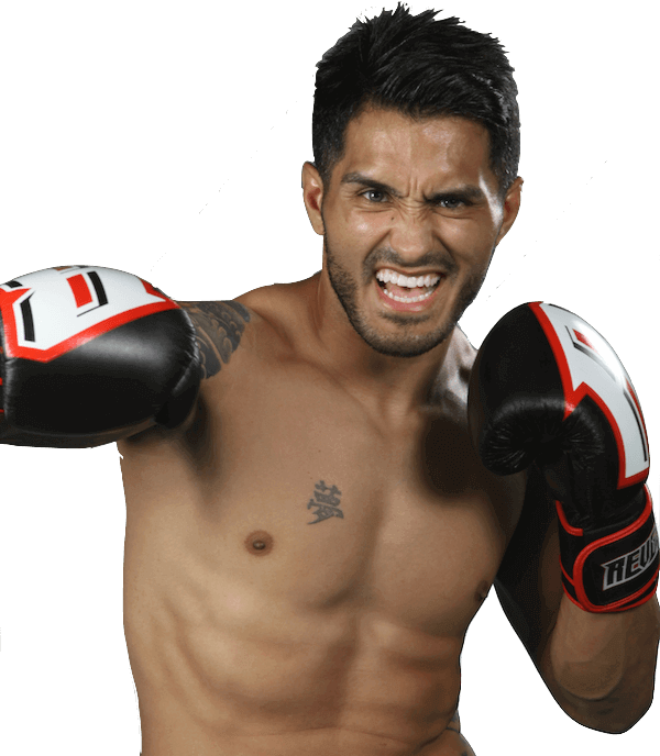 Eli Tamez Punch